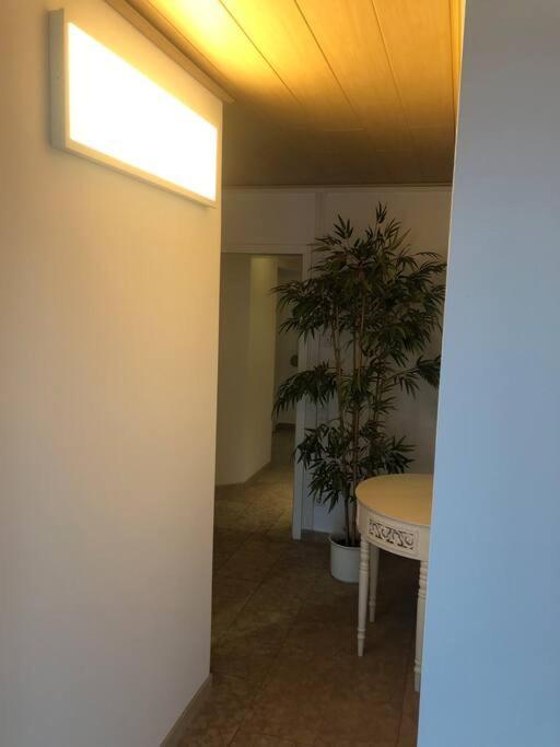 Haus Jaeger Ruheoase Im Gruenen Apartment Lohfelden ภายนอก รูปภาพ