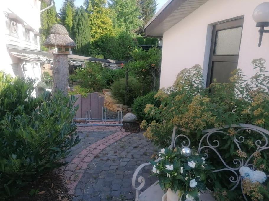 Haus Jaeger Ruheoase Im Gruenen Apartment Lohfelden ภายนอก รูปภาพ